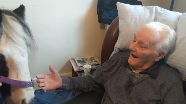 Granddads Heartwarming Surprise on his 96th Birthday