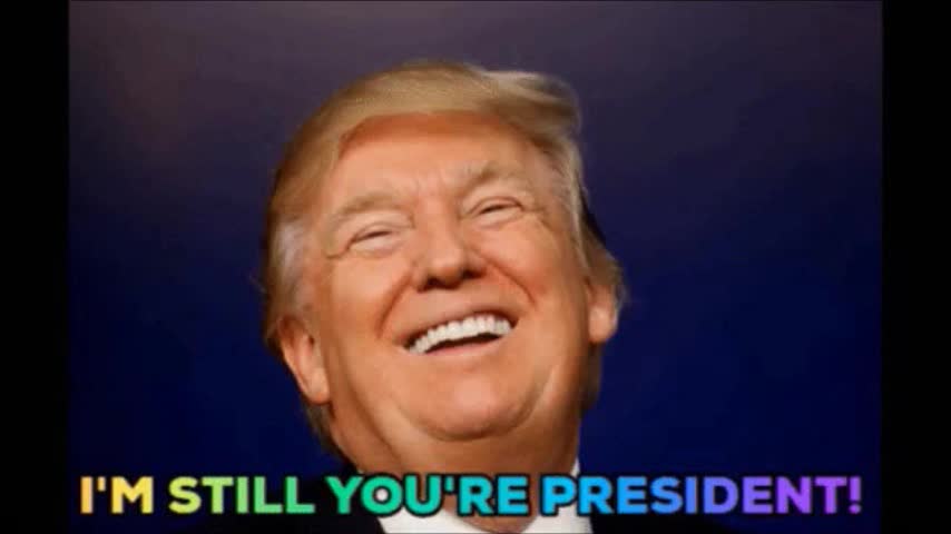 RE-ELECT PRESIDENT DONALD TRUMP 2024