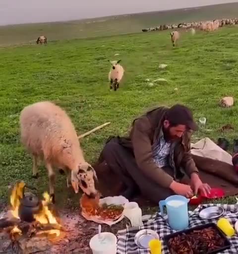 I went for lunch. 🤣