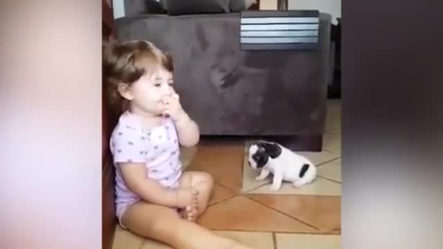 Girl Kisses French Bulldog Puppy