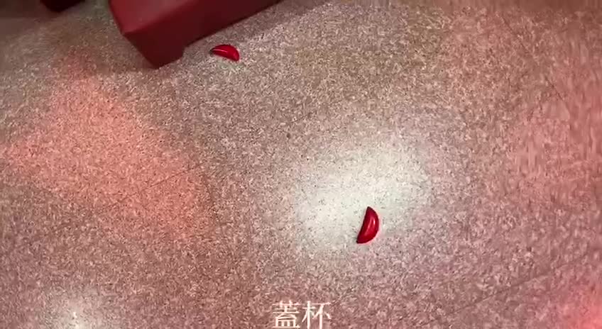 ①觀世音菩薩:打喵是沒用的!?會有不良反應!?
