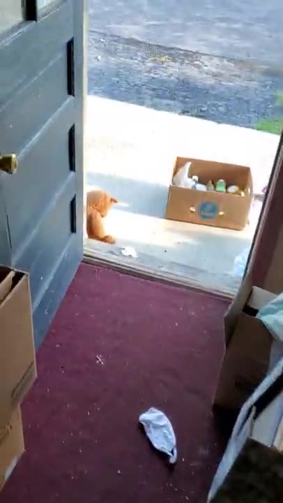 “I Can't Even Stand The Smell.” (August 2020)