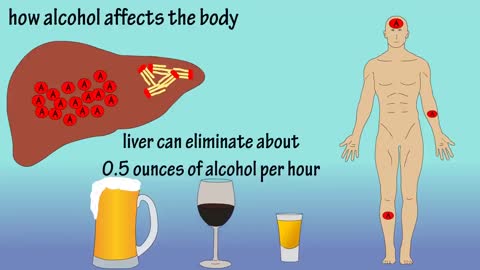 Alcohol - How Alcohol Affects The Body - What Causes A Hangover