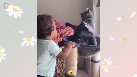Funniest Cats and Dogs 😺🐶 Funny Animals 2023 😂 #5