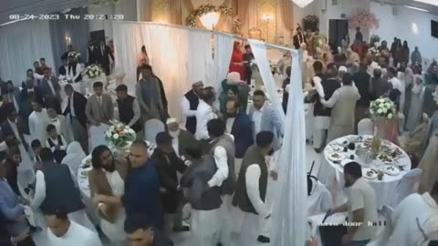 Wedding Fight