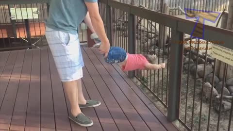 FORGET CATS Funny KIDS vs ZOO ANIMALS are WAY FUNNIER TRY NOT TO LAUGH