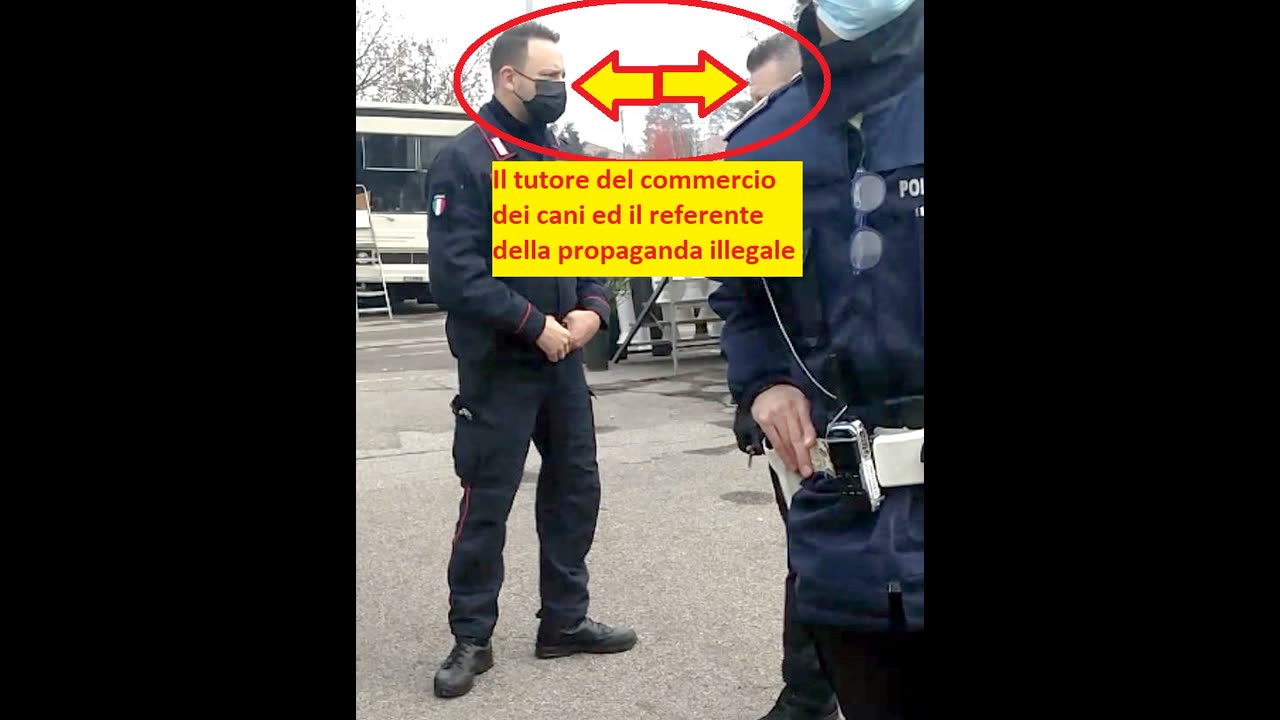 carabiniere AMICO dei vigili COMPRENDE il “LINGUAGGIO” dei LATRATI 18.11.2020