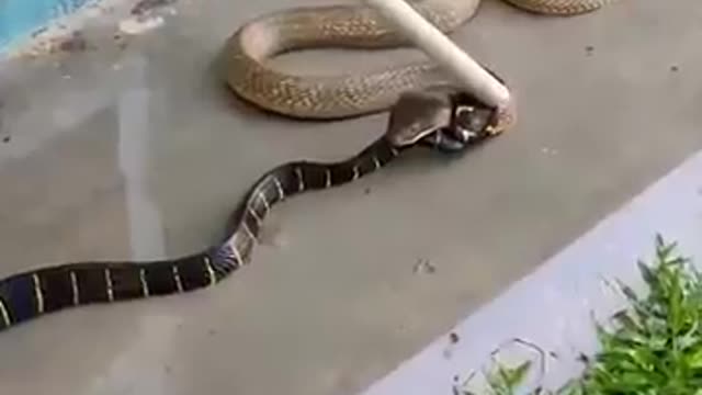 Sneak fitting 😮😮