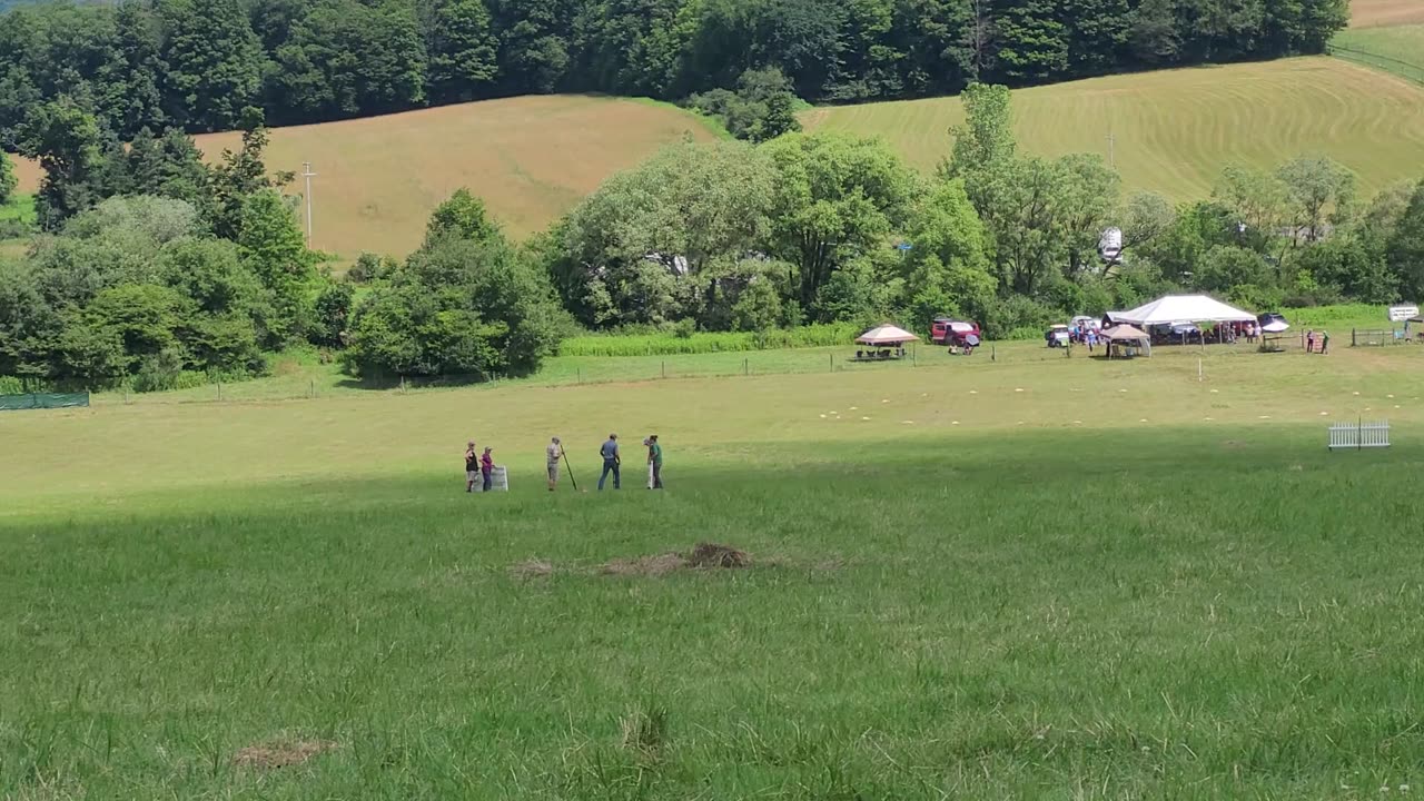 Sheepdog trial: people watching