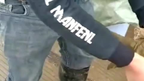 This is a beautiful and charming water-dwelling species