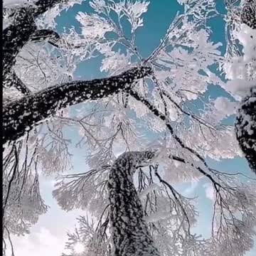 Natural Wonders of the World