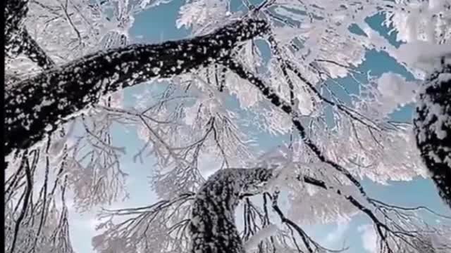 Natural Wonders of the World