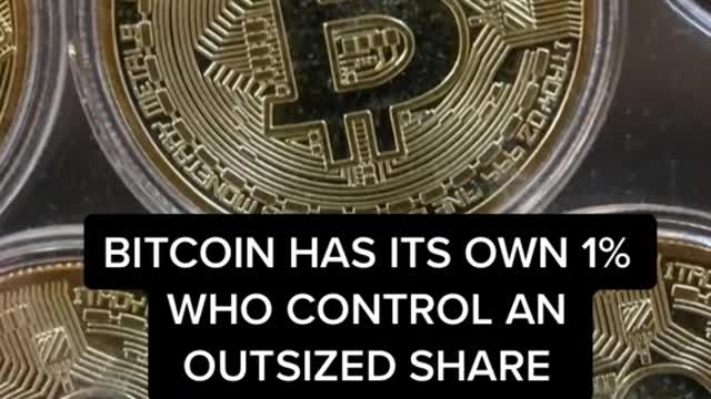 BITCOIN HAS ITS OWN 1%WHO CONTROL ANOUTSIZED SHAREOF WEALTH