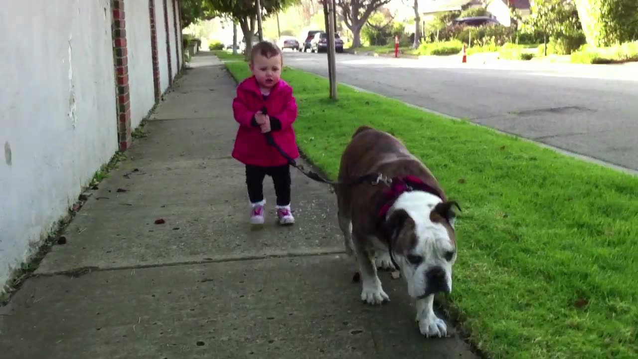 Baby & the Bulldog