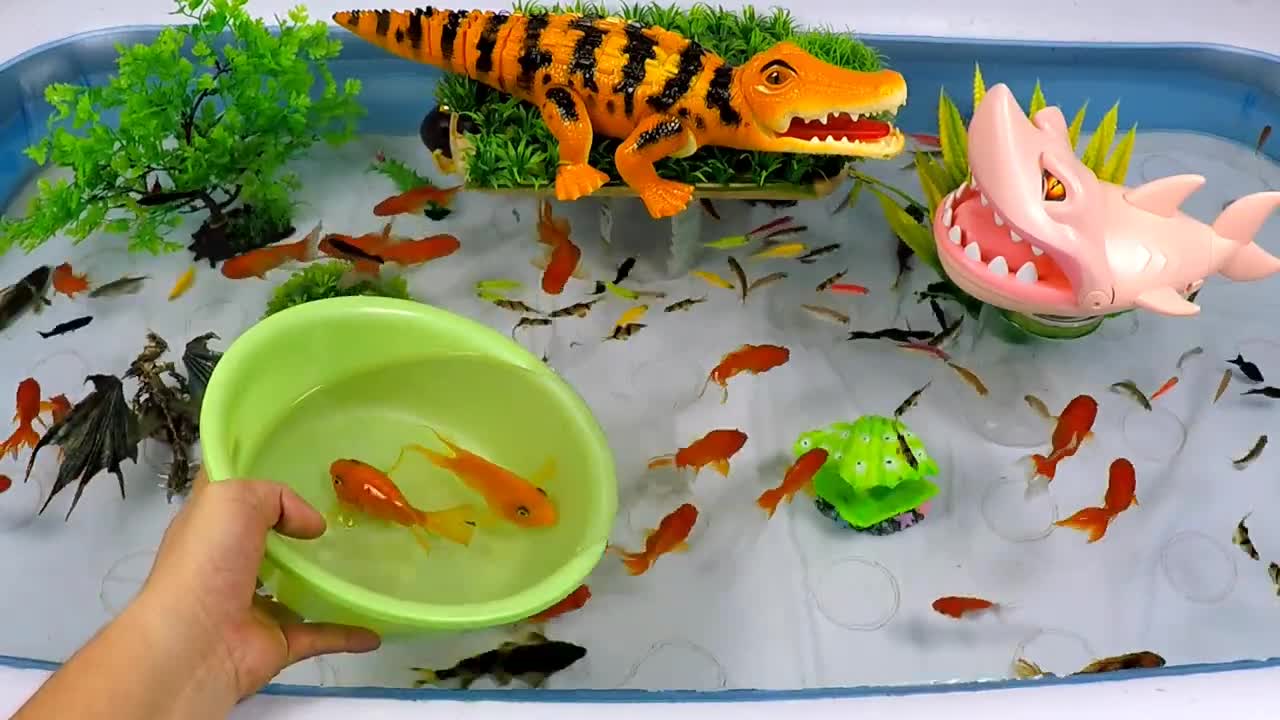 Cute Animals, Running Crocodile, Sharp Toothed Shark, Wolf Fish, Goldfish, Tiger Fish, Crab, Carp