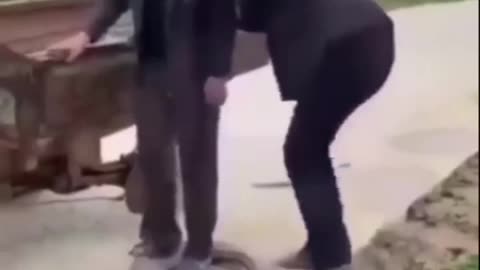 the boys funny video