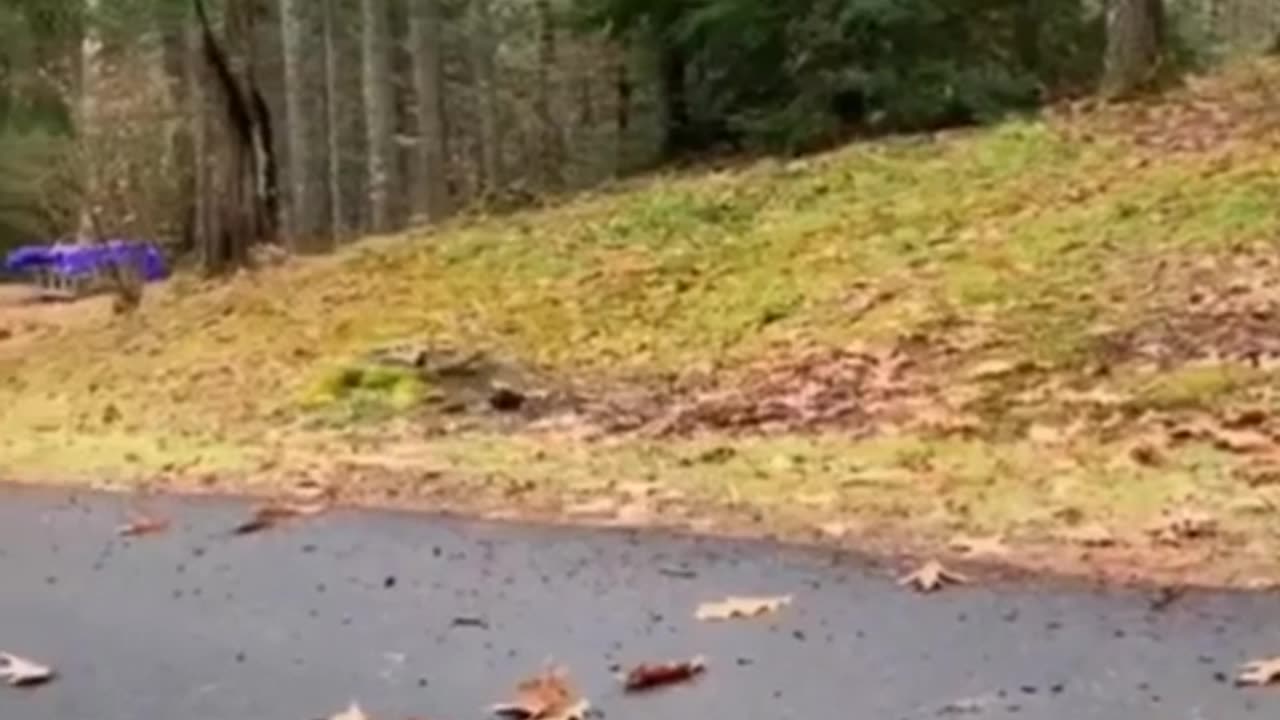 Try not to laugh