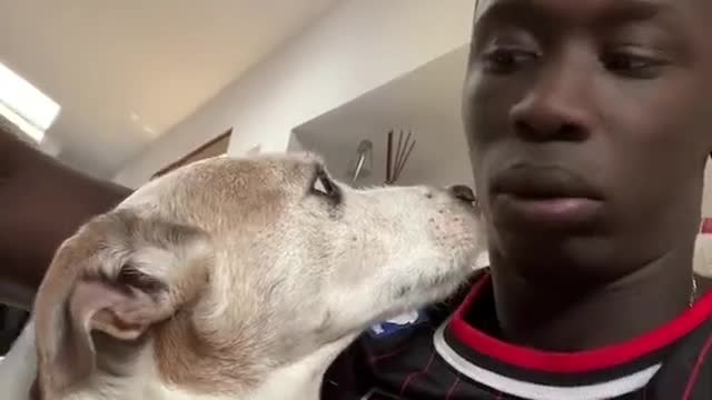 No no Skippy I know you r scared but you are not gonna do that 🐶❤️ !! 😳 🤣 Love you Skippyyy