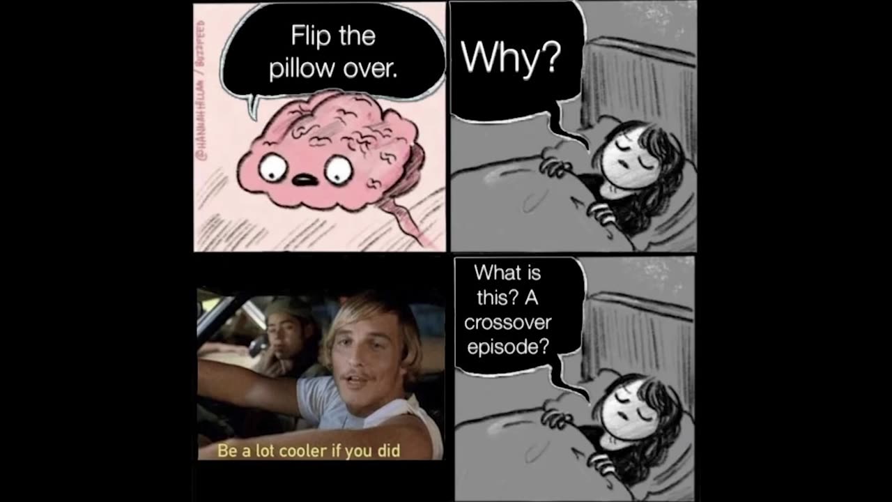 Memes Freddie Mercury Sent Me Nightly Juicy Memes #71