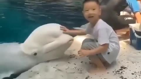 This is a beautiful and charming water-dwelling species