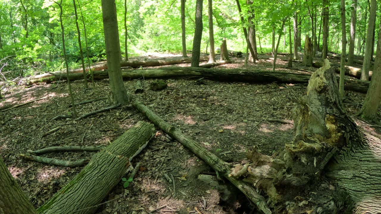 Episode 16 - Nature's recycling, fungus, and the importance of education