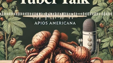 Tuber Talk: A Peek At The Apios Americana