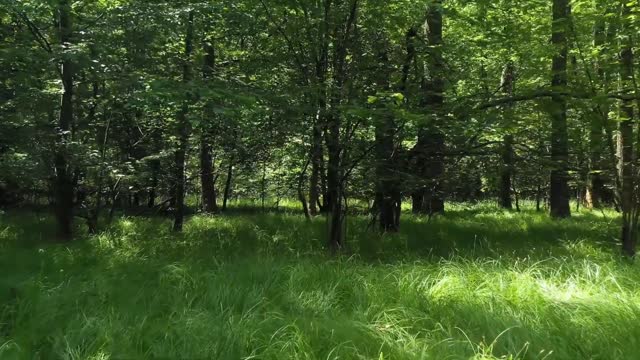 Amazing view of nature with drone | Aerial View