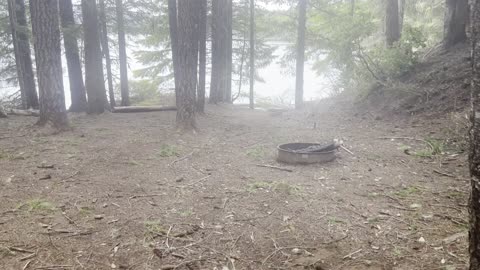 Backcountry Campsite #6, Meditation Point – Timothy Lake – Mount Hood – Oregon – 4K