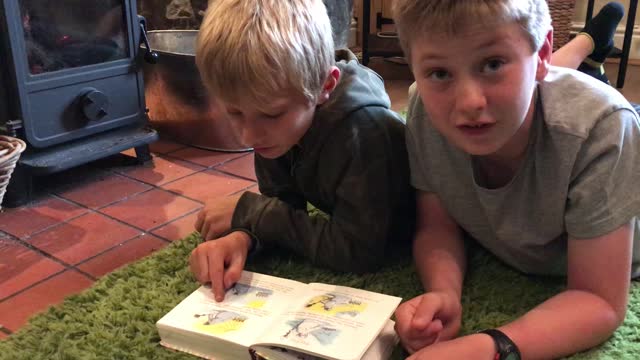 Brothers Lie Down on Carpet Next to Fire and Attempt to Read From Book Together