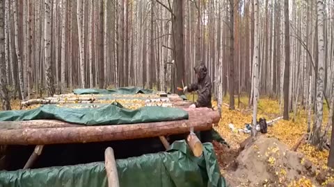 Build a home in forest