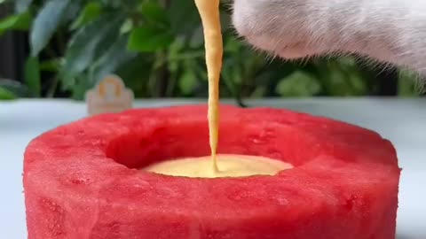 😲REAL Fruit Cake + Mango Latte, So Perfect!😻 | Chef Cat Cooking #tiktok #rumble