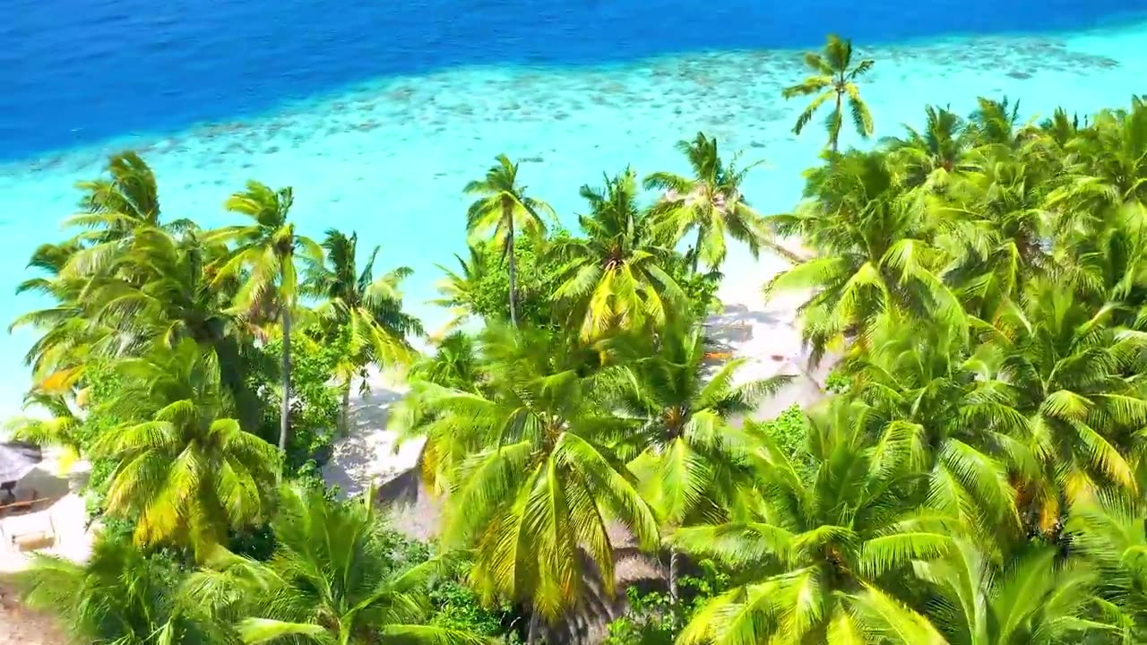 Maldives 12K HDR 60fps Dolby Vision