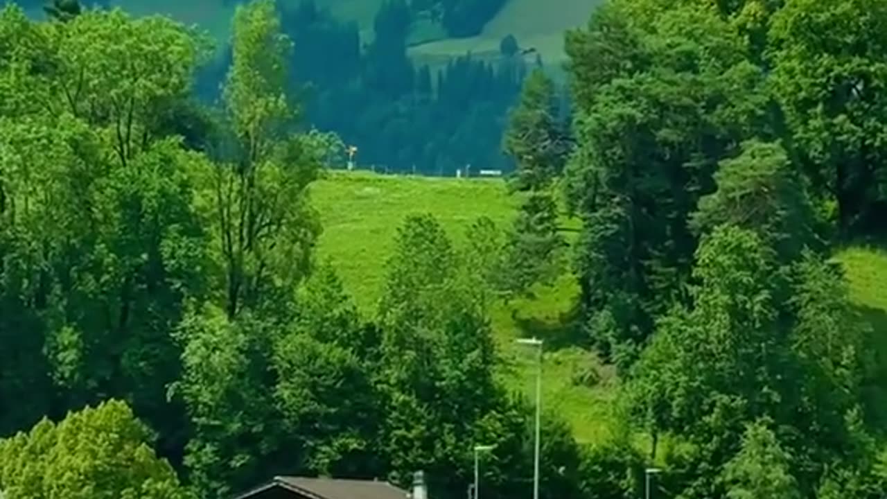 Outstanding video