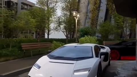 Bugatti Or Lamborghini