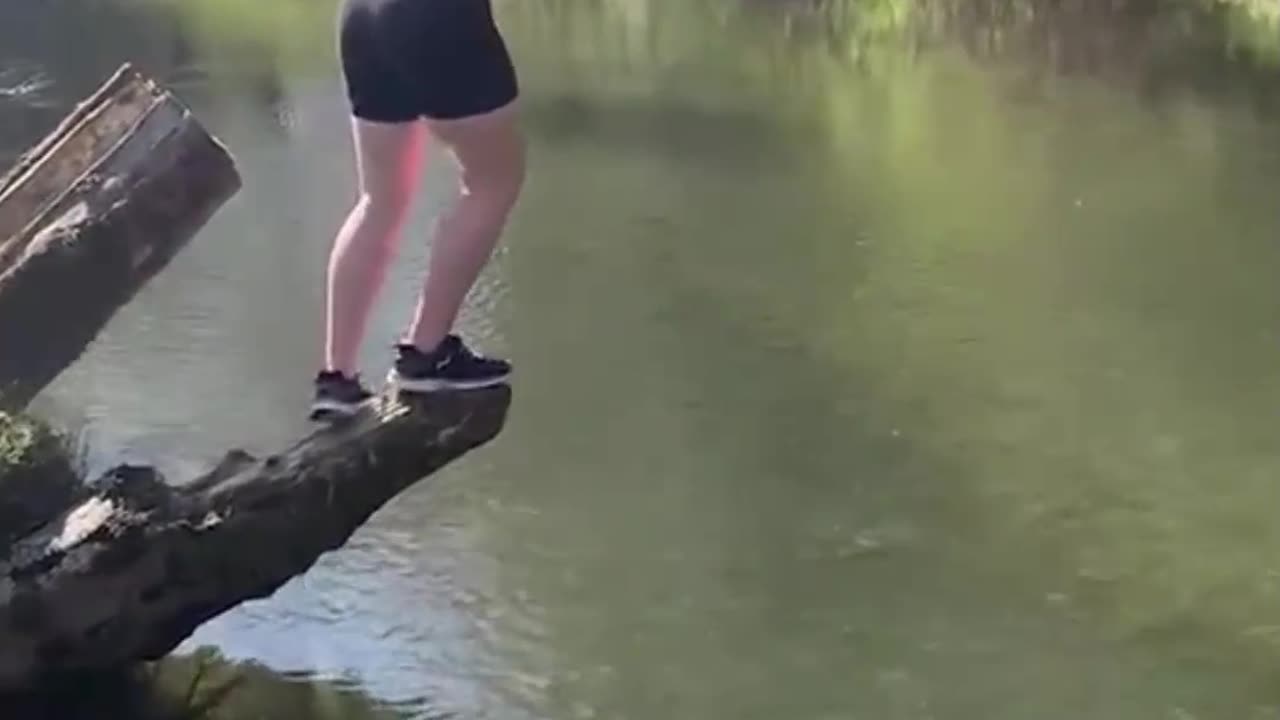 Crazy and Funny Videos!
