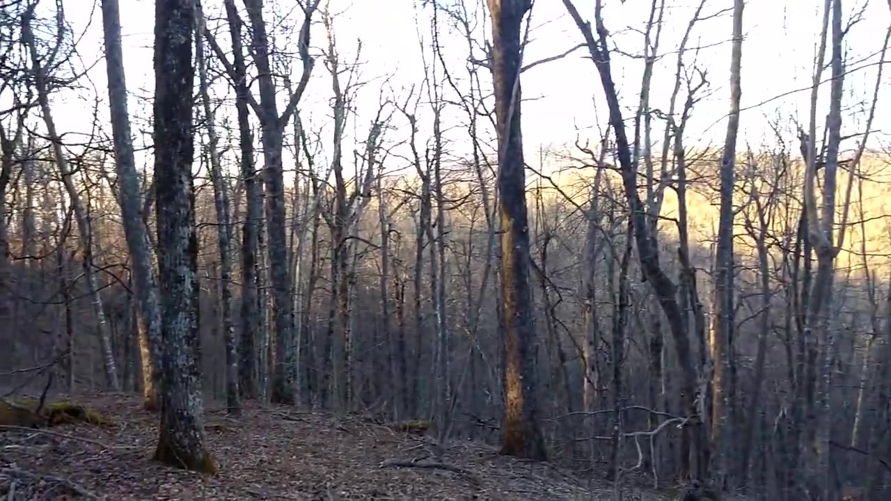 Day 5 - Appalachian Trail 2019 (GA/NC) - Steep Climbs & Stealth Camping