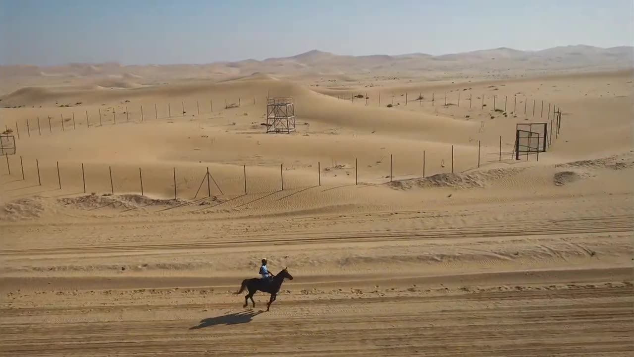 Horse Islamic video full hd