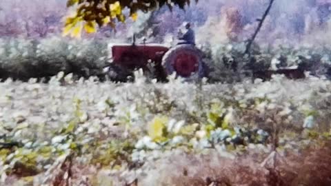 Martinsville Farm 1963