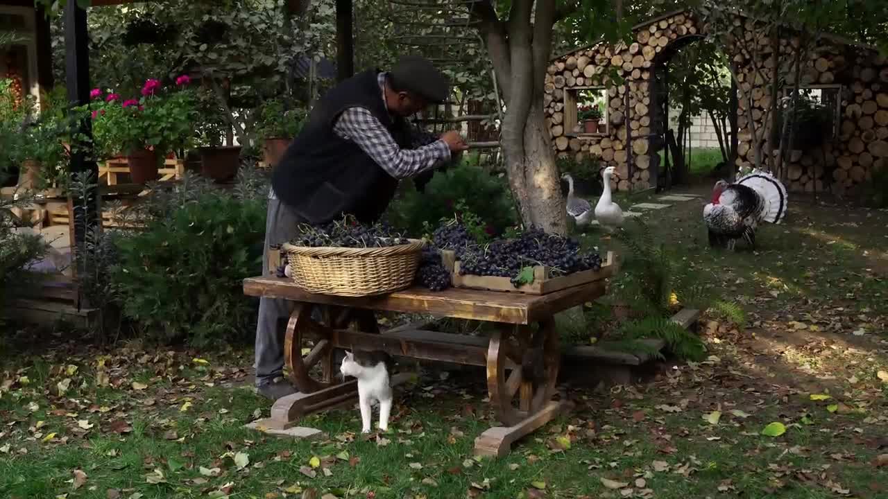 Air dry the excess grapes