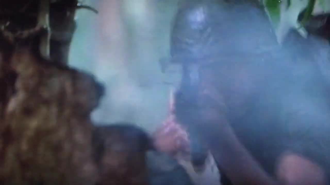 PLATOON - 1986 - CROSSFIRE SCENE