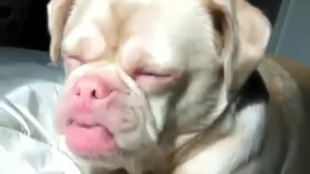 I can forget everything, but I can't forget your appearance