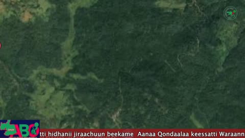 Oduu Waaree ONM-ABO Onkoloolessa 11, 2023
