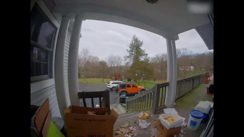 Dog Destroys Amazon Package Left Outside House