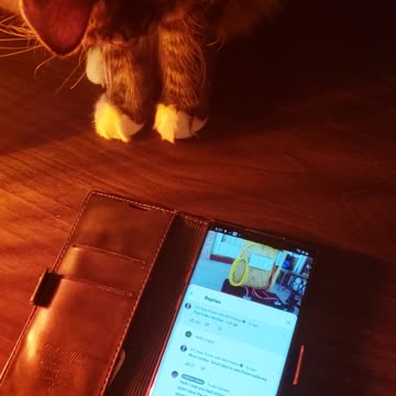 Cat wants to learn off grid