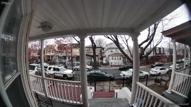 Package Thief Caught Red Handed by Couple