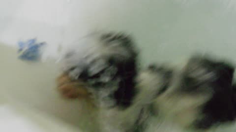 P0000072