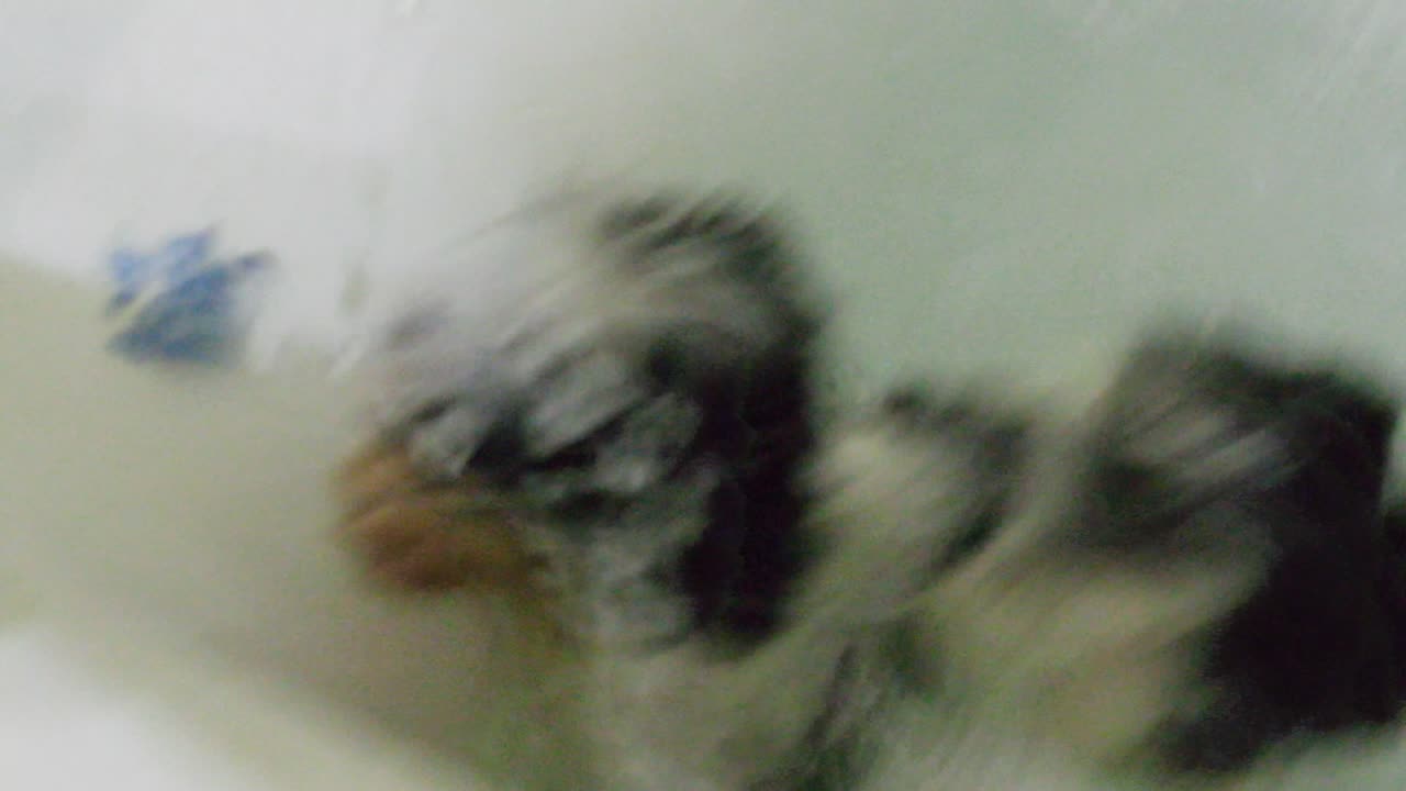 P0000072