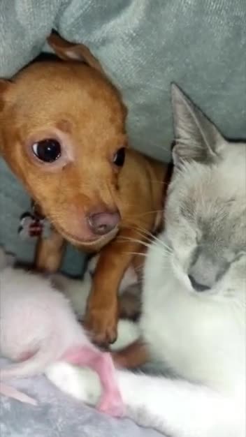 breathe b4u bite when you overcome your anger and realize life isnt so bad its all love