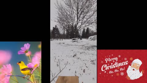 ATV Christmas Rip