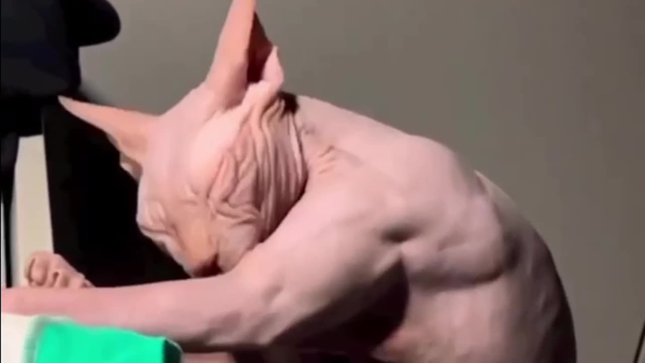 Someone Has Been Working Out